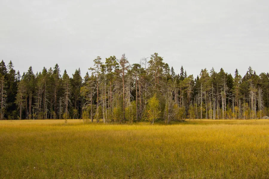 miljopionjarer-och-grona-influensers-fran-umea
