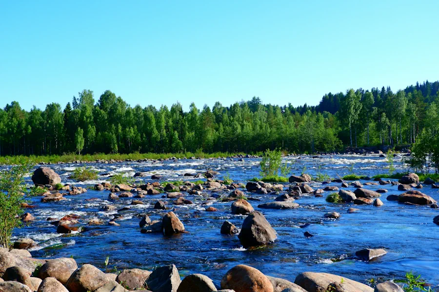 valgorenhetsarbete-och-samhallsengagemang-av-kanda-umeabor