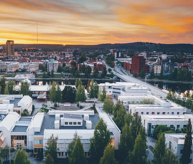 Umeå universitet och jobben runt omkring